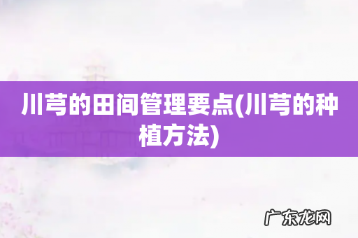 川芎的种植方法 川芎的田间管理要点