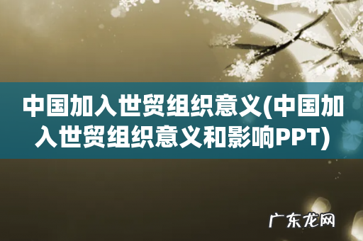 中国加入世贸组织意义和影响PPT 中国加入世贸组织意义