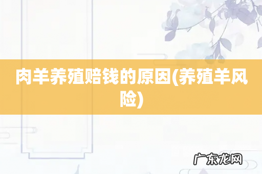 养殖羊风险 肉羊养殖赔钱的原因