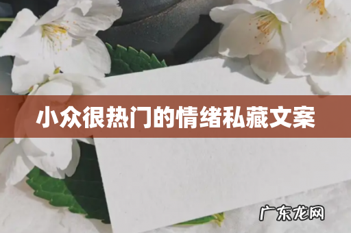 小众很热门的情绪私藏文案