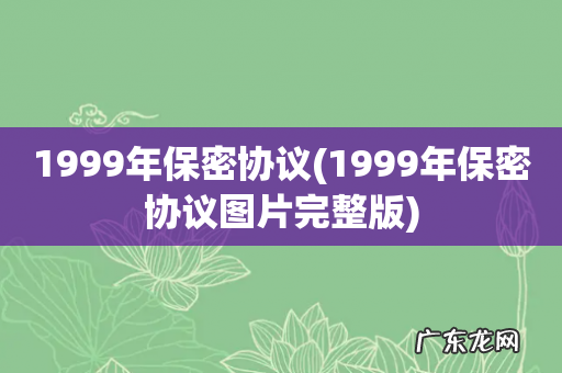 1999年保密协议图片完整版 1999年保密协议