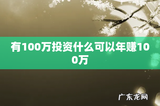 有100万投资什么可以年赚100万