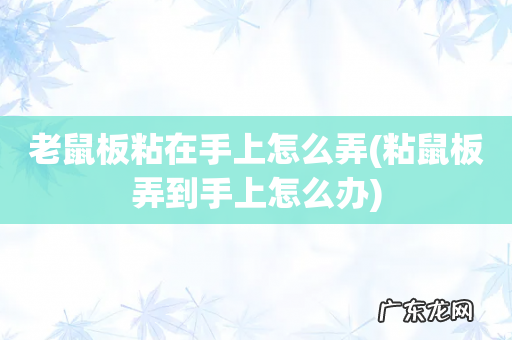粘鼠板弄到手上怎么办 老鼠板粘在手上怎么弄