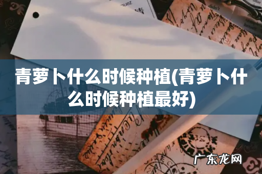 青萝卜什么时候种植最好 青萝卜什么时候种植