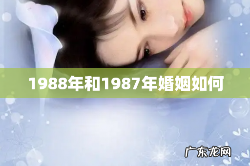 1988年和1987年婚姻如何