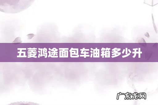 五菱鸿途面包车油箱多少升