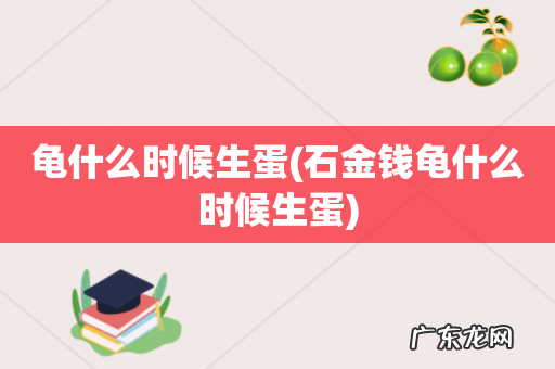 石金钱龟什么时候生蛋 龟什么时候生蛋