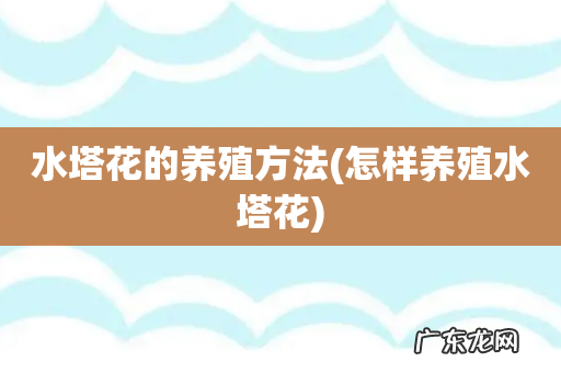 怎样养殖水塔花 水塔花的养殖方法