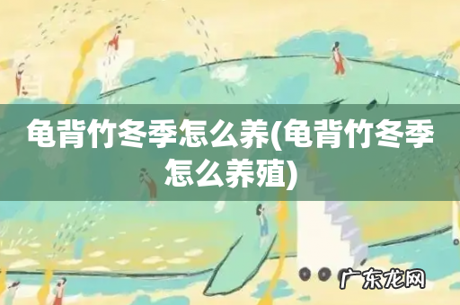 龟背竹冬季怎么养殖 龟背竹冬季怎么养