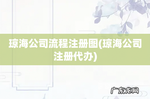 琼海公司注册代办 琼海公司流程注册图