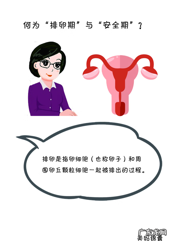 妇女安全期计算 anquanqi