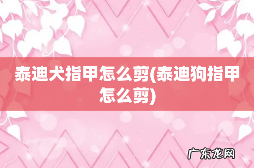 泰迪狗指甲怎么剪 泰迪犬指甲怎么剪