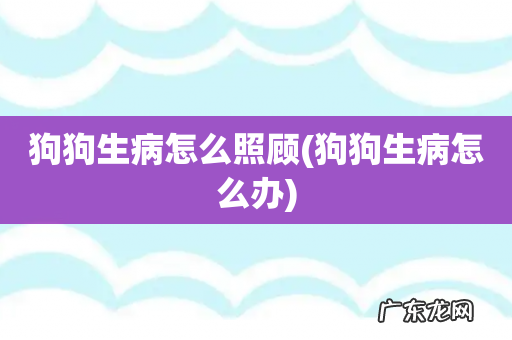 狗狗生病怎么办 狗狗生病怎么照顾