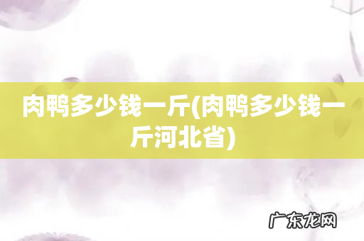肉鸭多少钱一斤河北省 肉鸭多少钱一斤