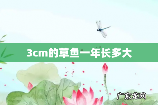 3cm的草鱼一年长多大