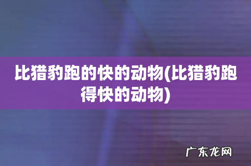 比猎豹跑得快的动物 比猎豹跑的快的动物