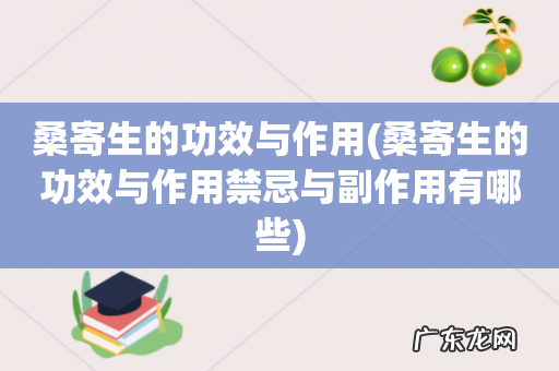 桑寄生的功效与作用禁忌与副作用有哪些 桑寄生的功效与作用