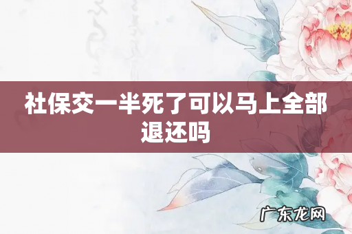 社保交一半死了可以马上全部退还吗