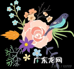 幼儿园营养食谱大全 最新幼儿园食谱大全