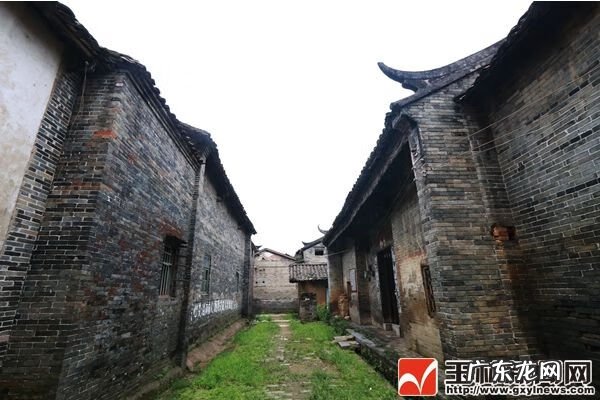 玉林风水大师排名 玉林陈伯春风水