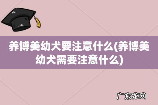 养博美幼犬需要注意什么 养博美幼犬要注意什么