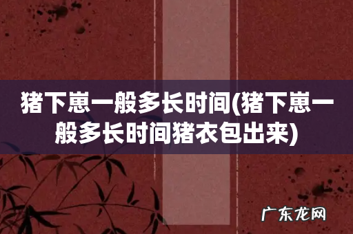 猪下崽一般多长时间猪衣包出来 猪下崽一般多长时间