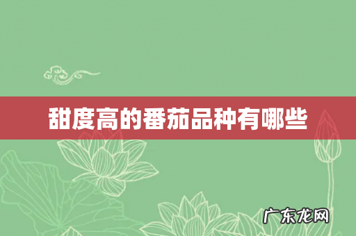 甜度高的番茄品种有哪些