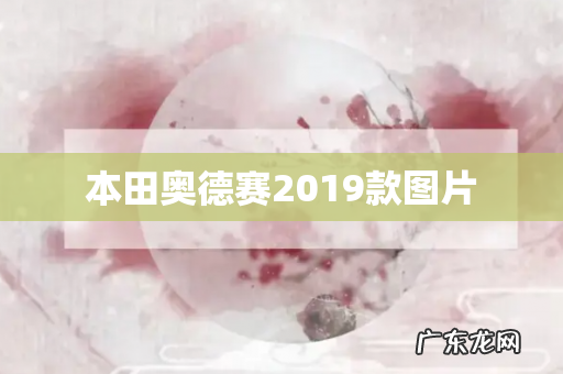 本田奥德赛2019款图片