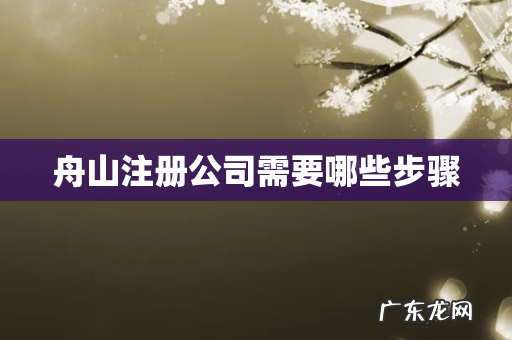舟山注册公司需要哪些步骤
