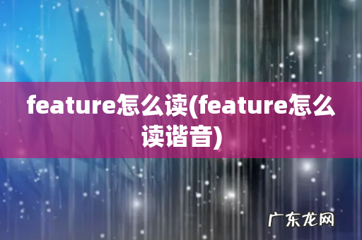 feature怎么读谐音 feature怎么读