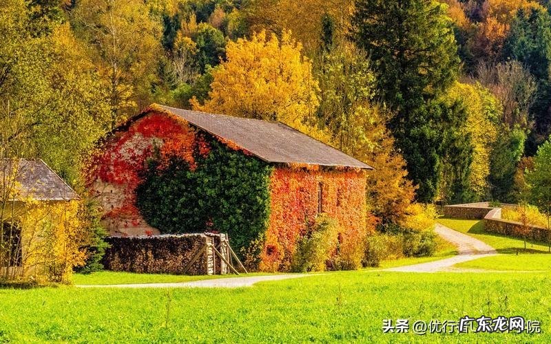 作为设计师如何谈单