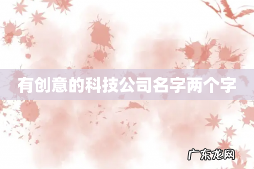 有创意的科技公司名字两个字