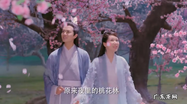 天乩之白蛇传说在哪里看 天乩之白蛇传说