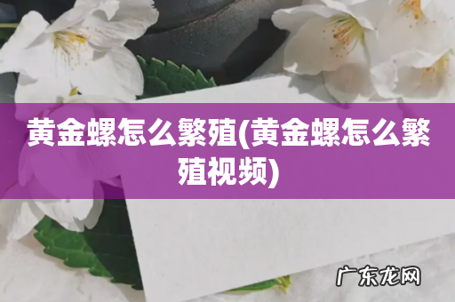 黄金螺怎么繁殖视频 黄金螺怎么繁殖