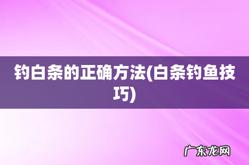 白条钓鱼技巧 钓白条的正确方法