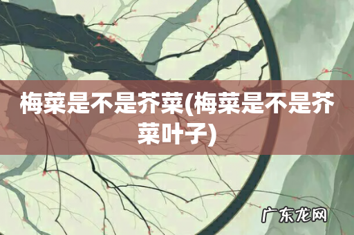 梅菜是不是芥菜叶子 梅菜是不是芥菜