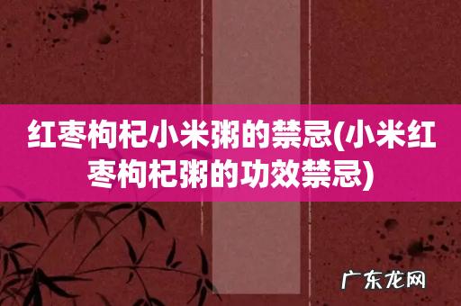 小米红枣枸杞粥的功效禁忌 红枣枸杞小米粥的禁忌