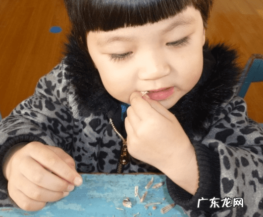 孕期能吃葵花籽吗 孕妇吃葵花籽吗