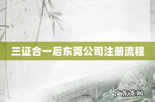 三证合一后东莞公司注册流程