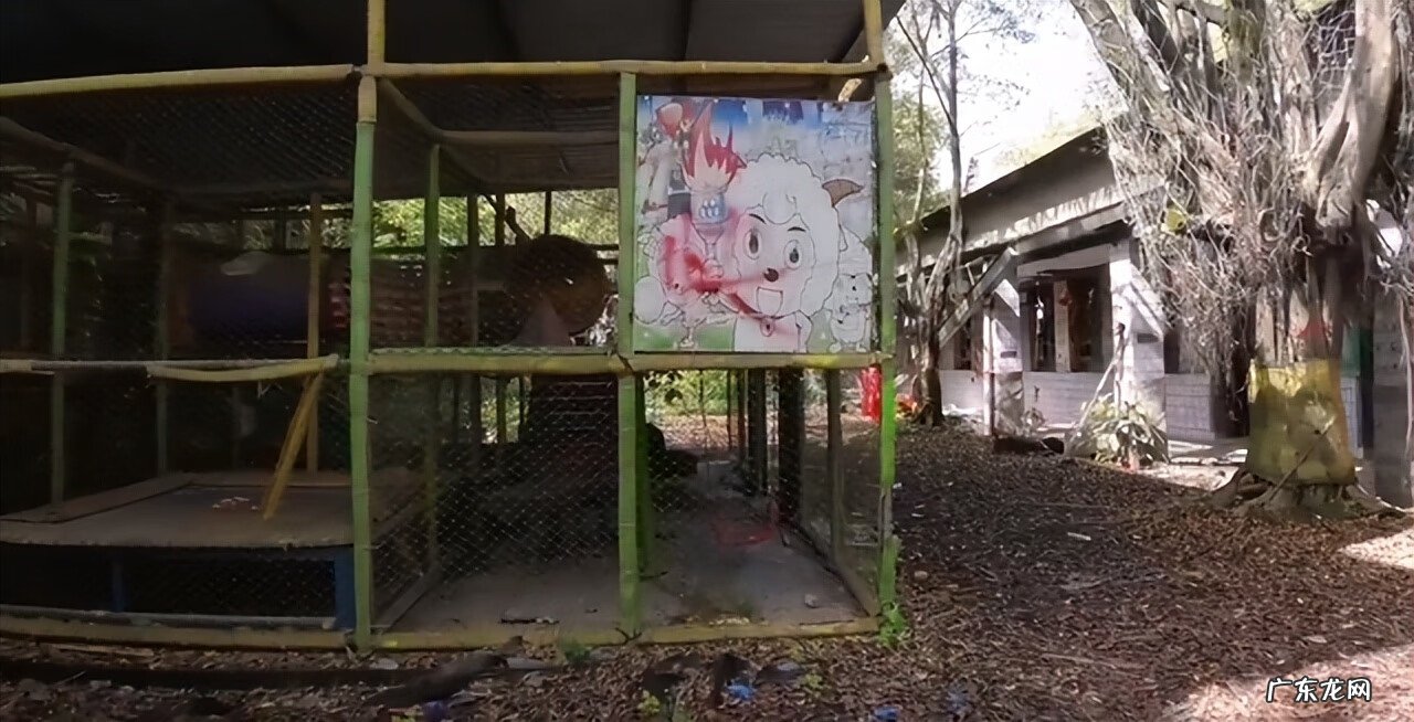 2009红太阳幼儿园发生了什么 2009红太阳幼儿园发生了什么