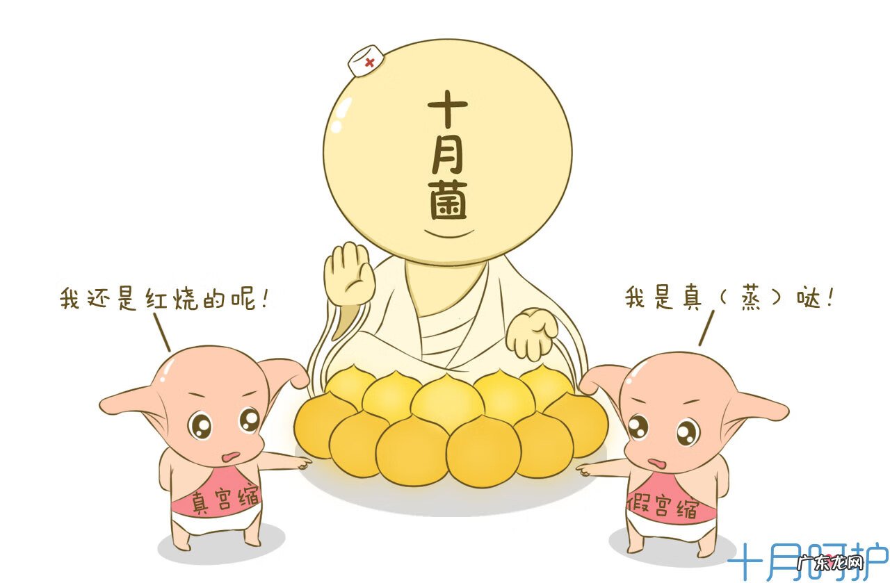 宫缩是什么感觉 真假宫缩的表现和症状有哪些