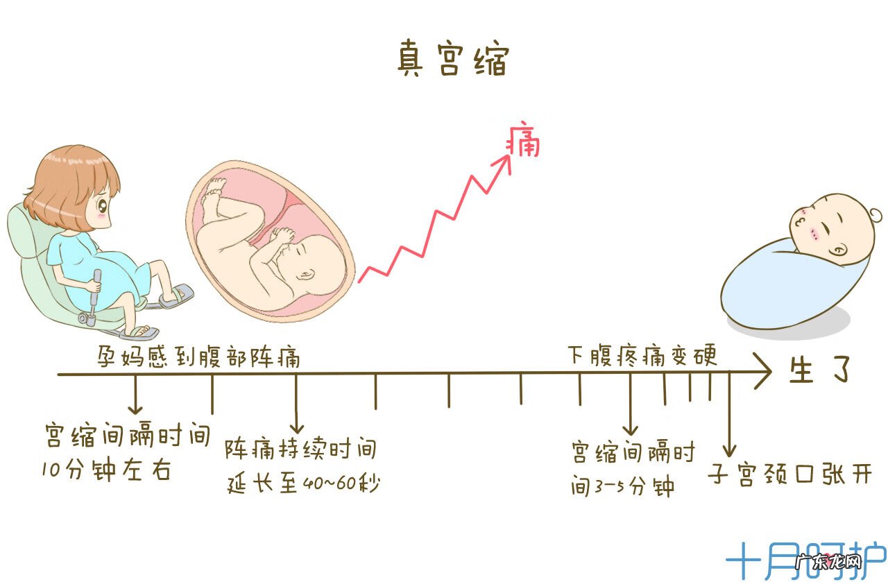 宫缩是什么感觉 真假宫缩的表现和症状有哪些