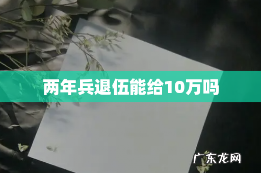 两年兵退伍能给10万吗