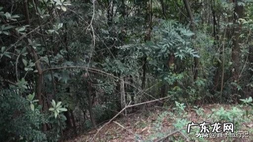 南宁龙脉图 南宁龙脉风水