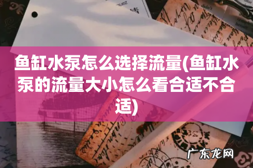 鱼缸水泵的流量大小怎么看合适不合适 鱼缸水泵怎么选择流量