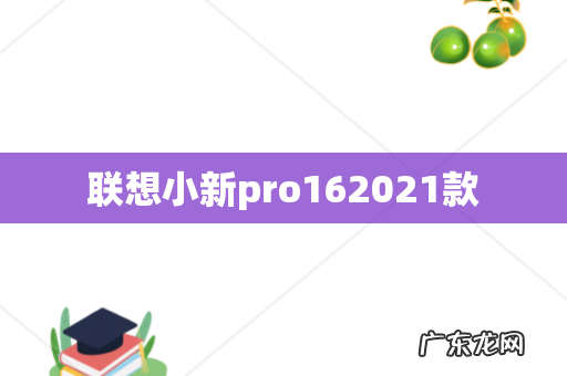 联想小新pro162021款