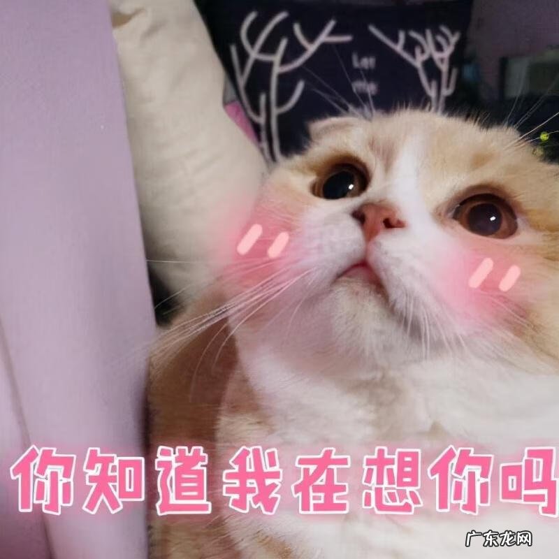 讨人喜欢的性格 讨人喜欢的意思