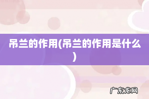 吊兰的作用是什么 吊兰的作用