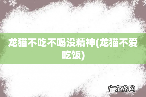 龙猫不爱吃饭 龙猫不吃不喝没精神