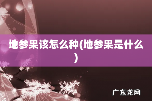 地参果是什么 地参果该怎么种